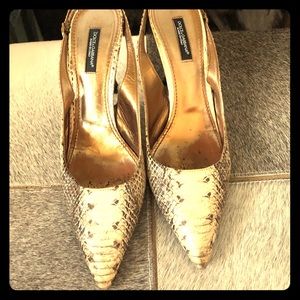 DOLCE AND GABBANA PYTHON HEELS